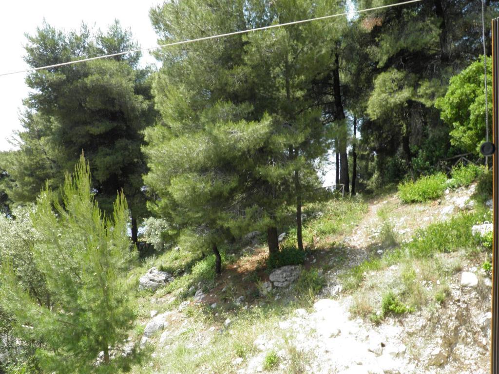 Eden Apartments Νέο Κλήμα Δωμάτιο φωτογραφία